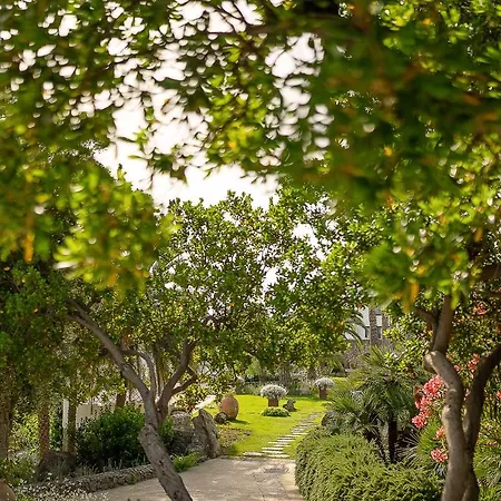 Botania Relais & - The Leading Of The World Forio di Ischia