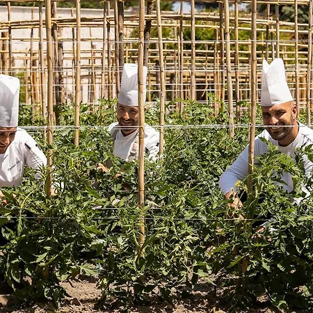Botania Relais & - The Leading Of The World